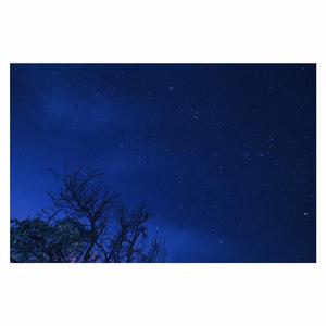 婬荡的短裙教师麻麻
