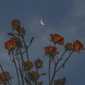 婬荡的短裙教师麻麻
